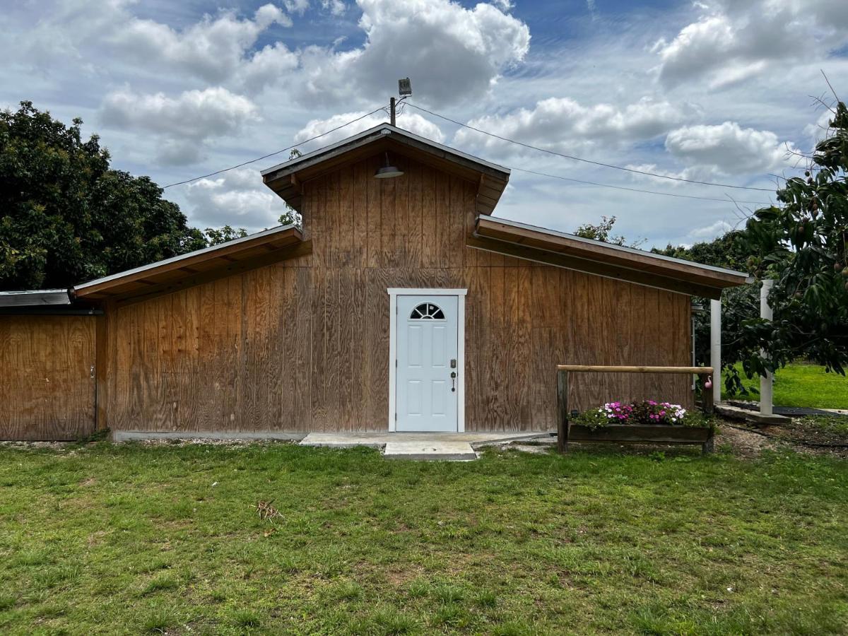 Maria'S Tiny Barn Pensionat Homestead Exteriör bild